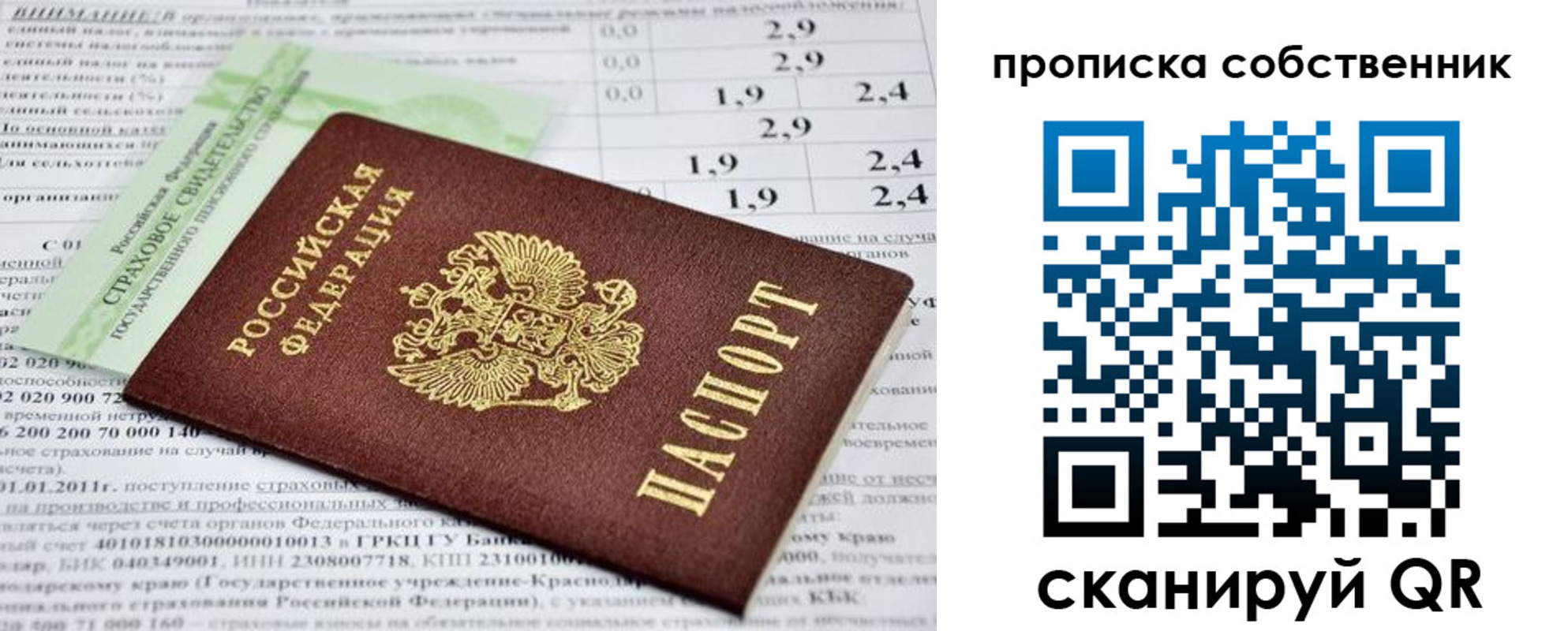 прописка 2025 в Болотном